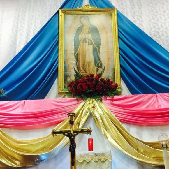 Meet your Posher, Rey - Picture 1 of 1